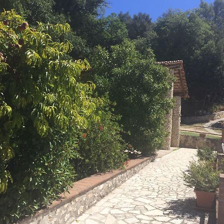 Belvedere Cramaccioli Vigne Экстерьер фото