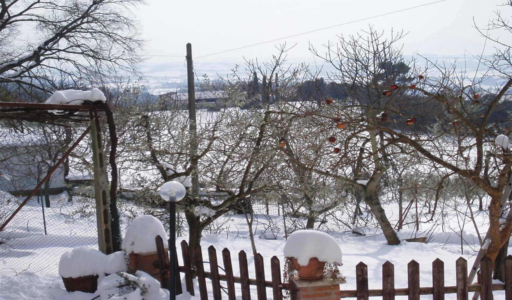 Belvedere Cramaccioli Vigne Экстерьер фото