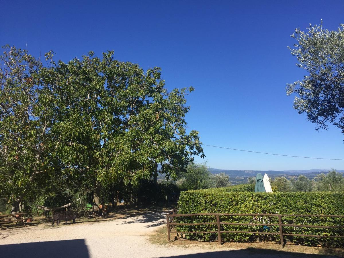 Belvedere Cramaccioli Vigne Экстерьер фото